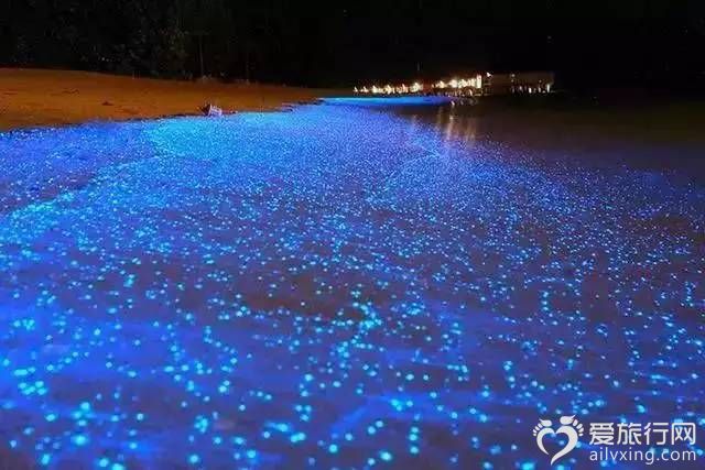 荧光海滩马尔代夫