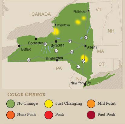 纽约州红叶地图